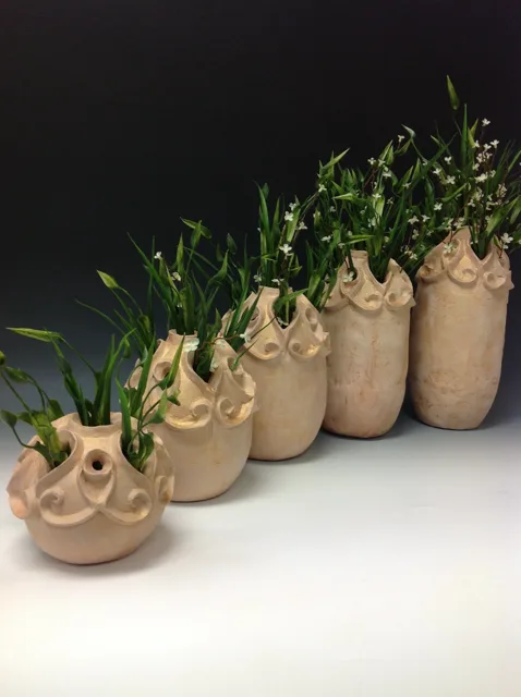 A row of small textured pots containing green plants.