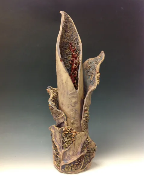 A pointed organic vessel with a narrow open interior.