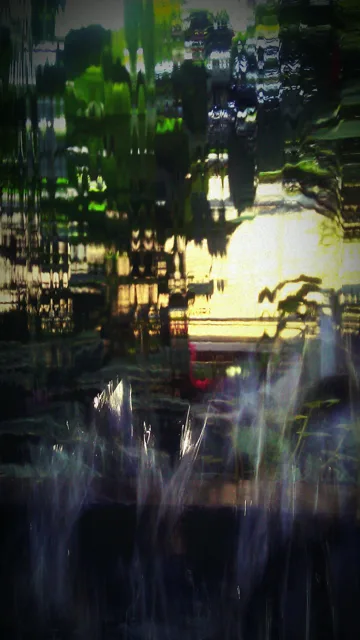 Pond reflections framed by dense garden foliage.