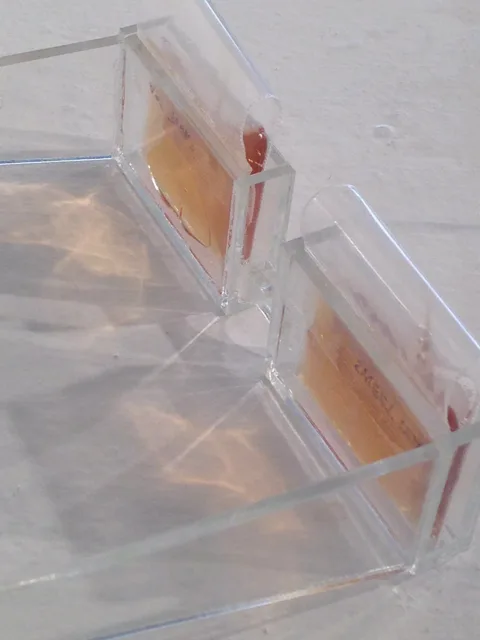 Close detail of overlapping transparent forms and their edges.