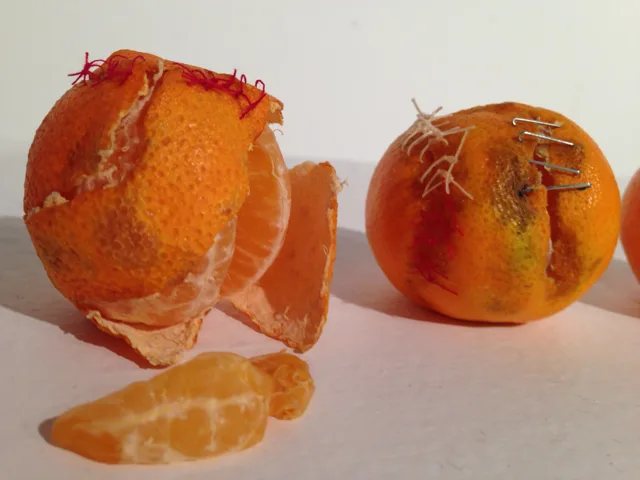 Orange segments and stitched peel arranged on a white surface.
