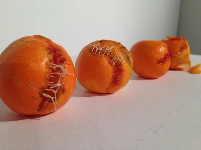 A row of stitched oranges seen from a low angle.
