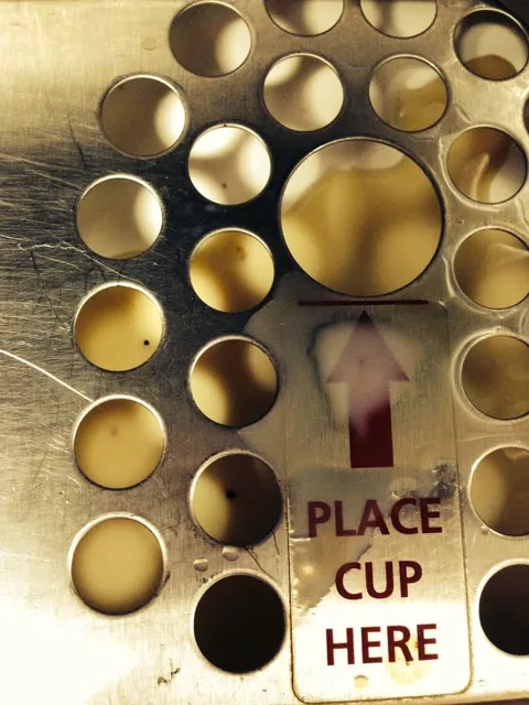 A drink station with rows of circular holders and a Place Cup Here label.