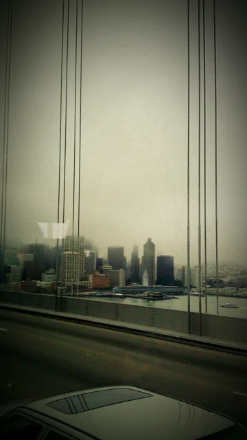 A distant city skyline seen across the water through blurred vertical lines.
