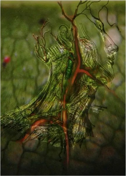 A branching anatomical composition against a mottled green background.